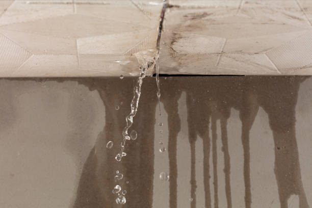 Professional Sewage Cleanup technician working in Verdunville, WV